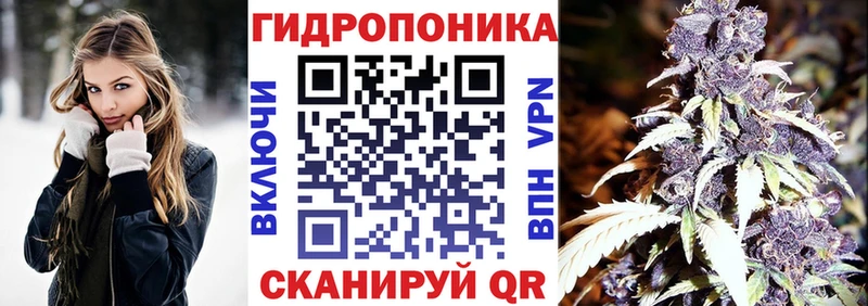 Бошки марихуана Bruce Banner  продажа наркотиков  MEGA как войти  Ершов 